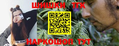 индика Кунгур