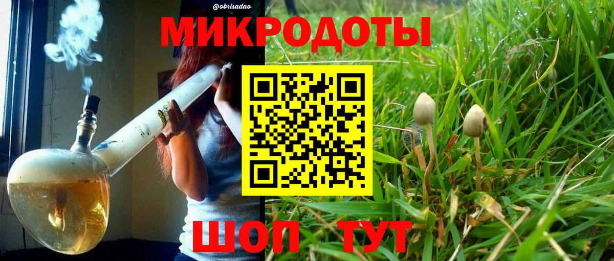 Хасавюрт  Галлюциногенные грибы Magic Shrooms  Вход с VPN 